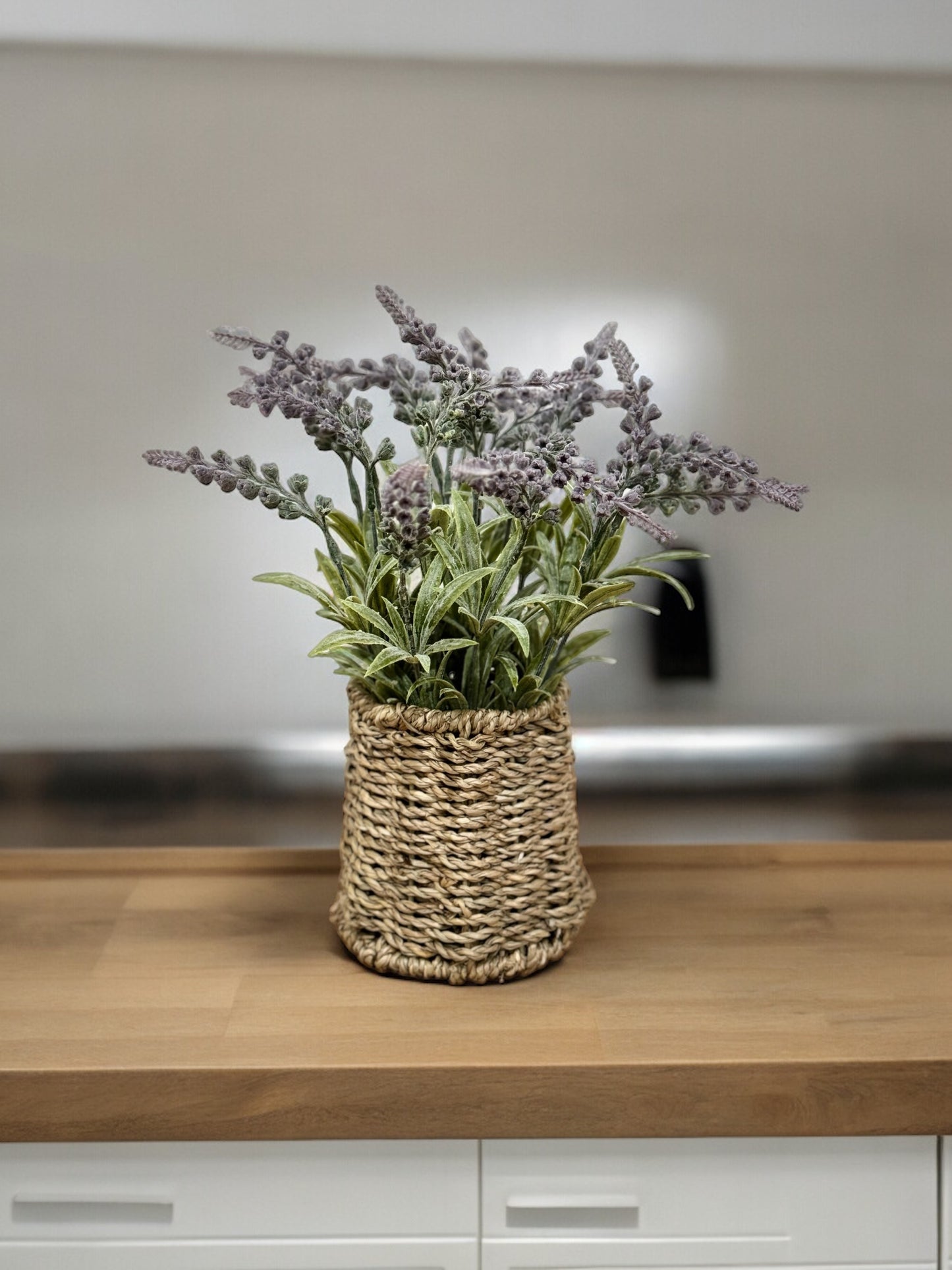 Planta Belel