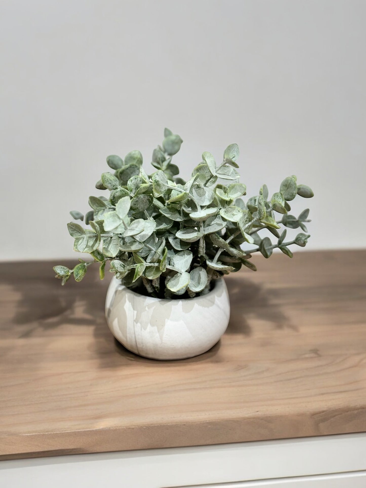 Planta Azha