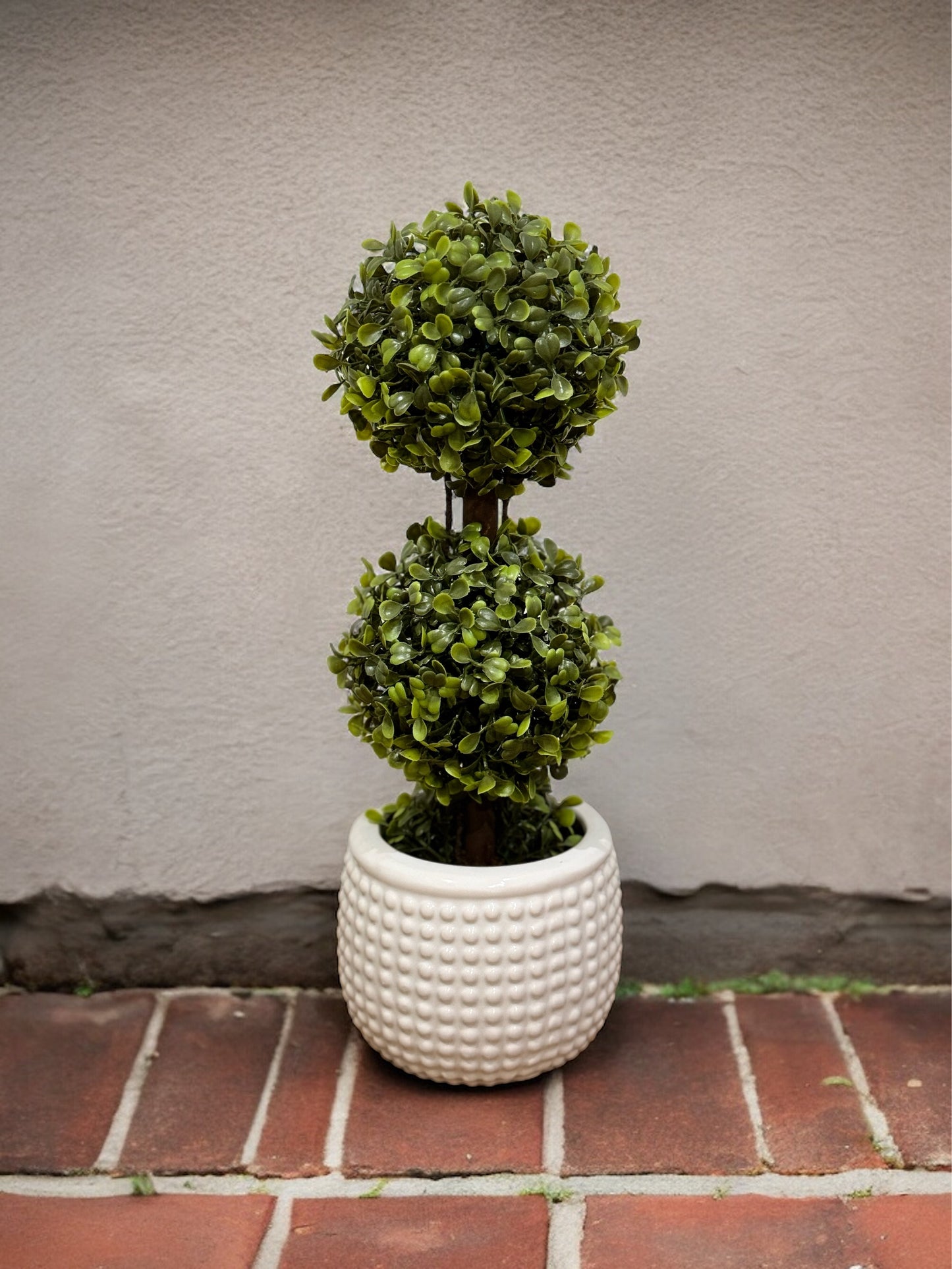 Planta Bosona