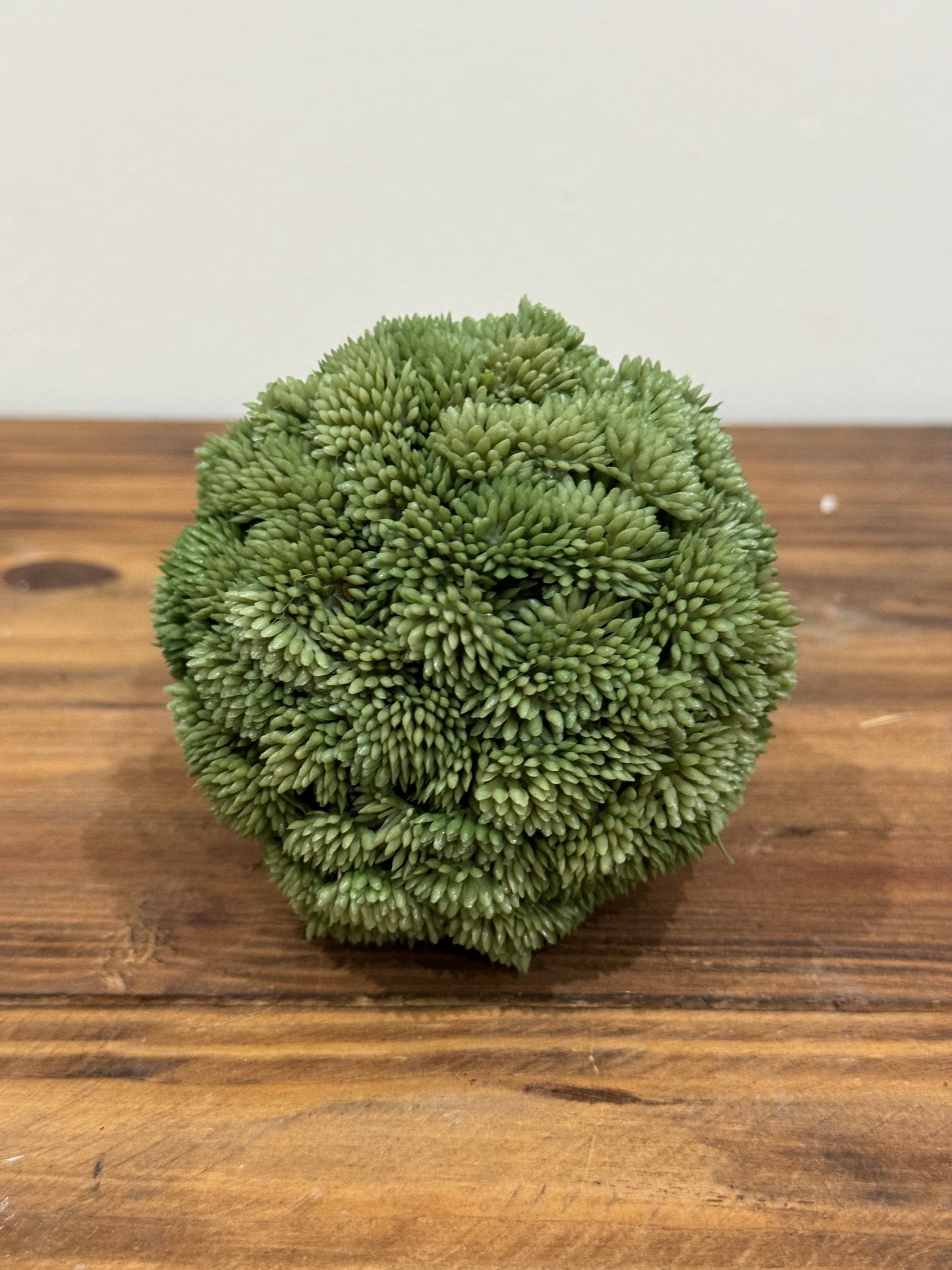 Bola musgo
