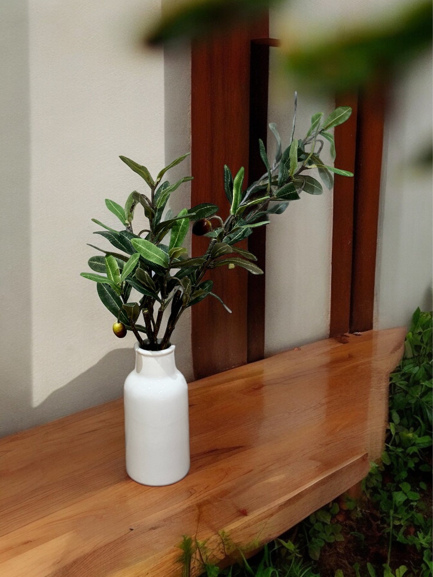 Planta Biham