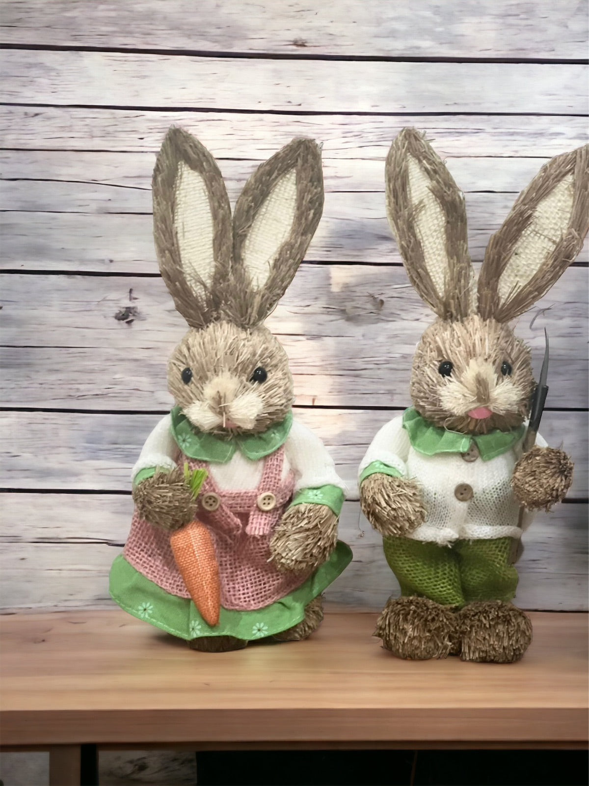 Pareja de conejos Muscida