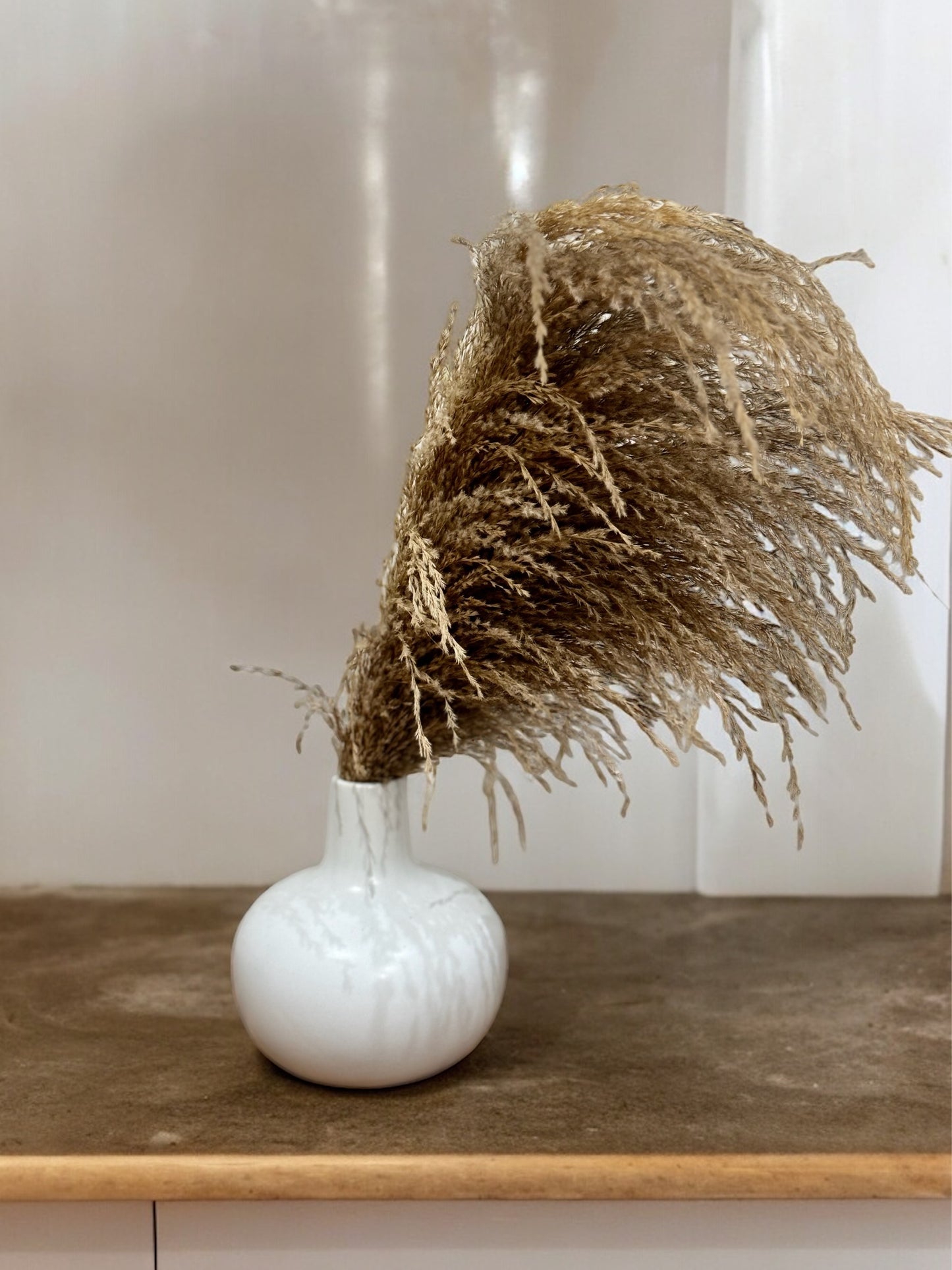 Pampas Beid