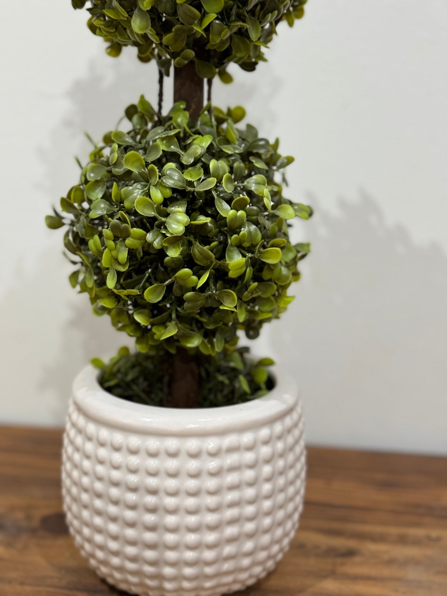 Planta Bosona