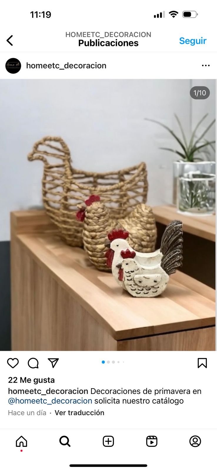Par de gallinas Heidy
