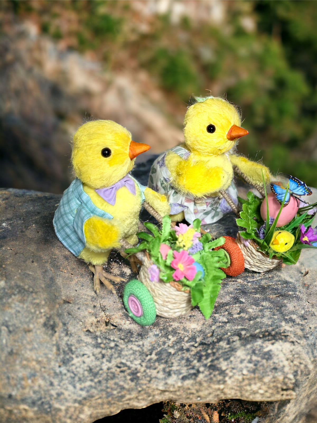 Pollito Heze