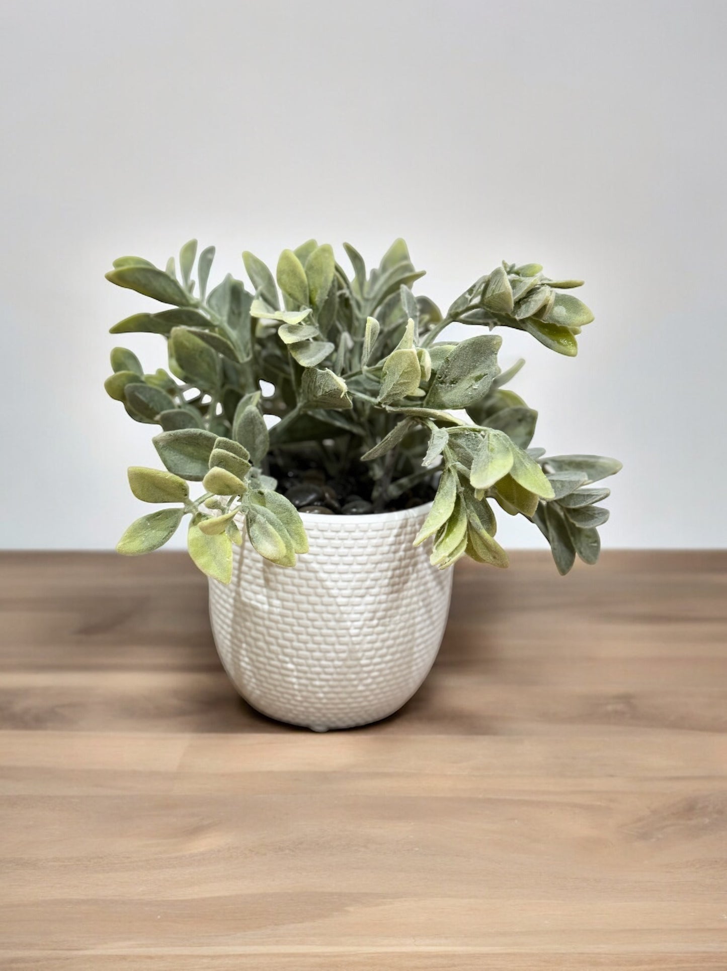 Planta Avior