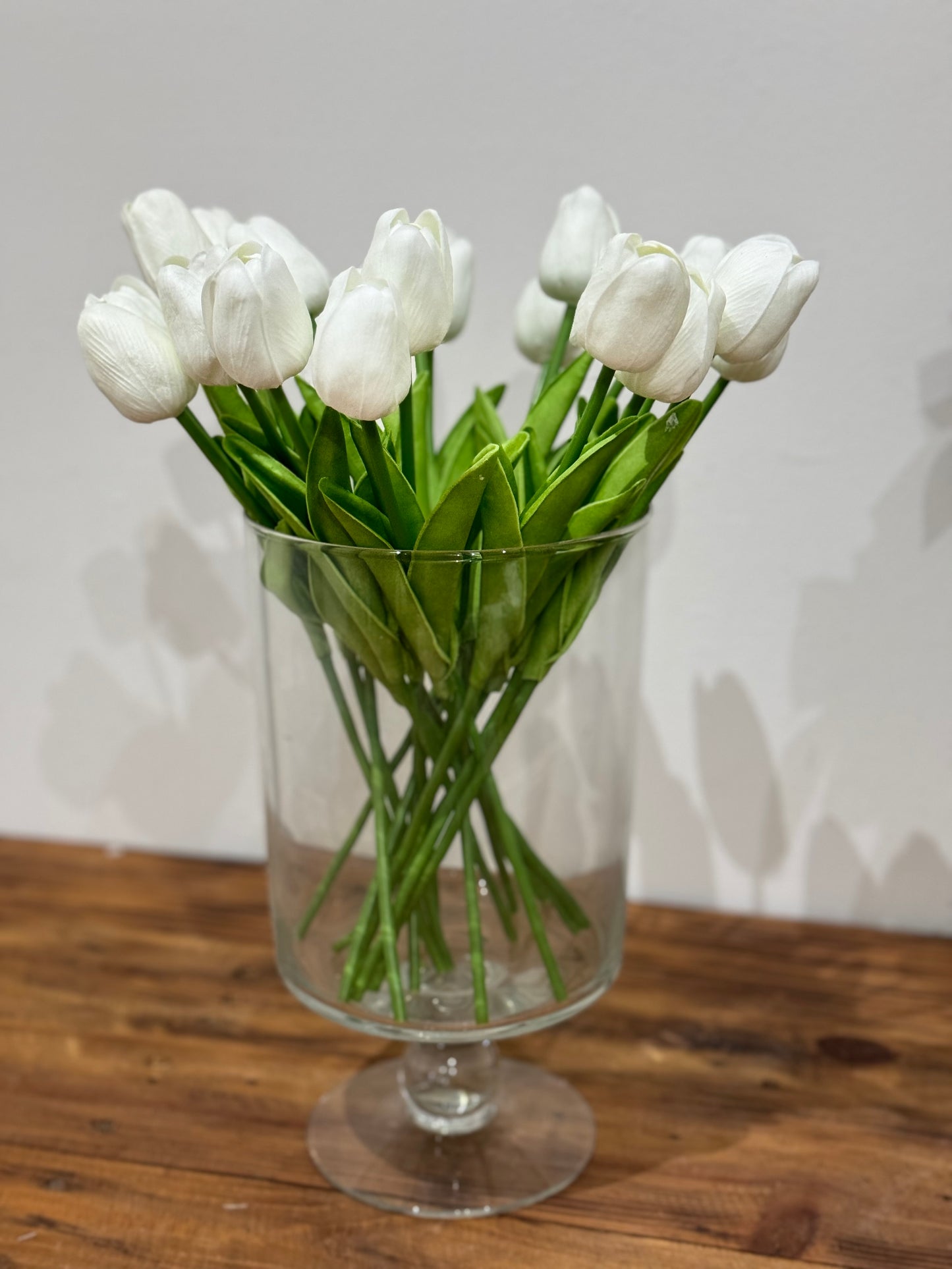 Tulipanes blancos