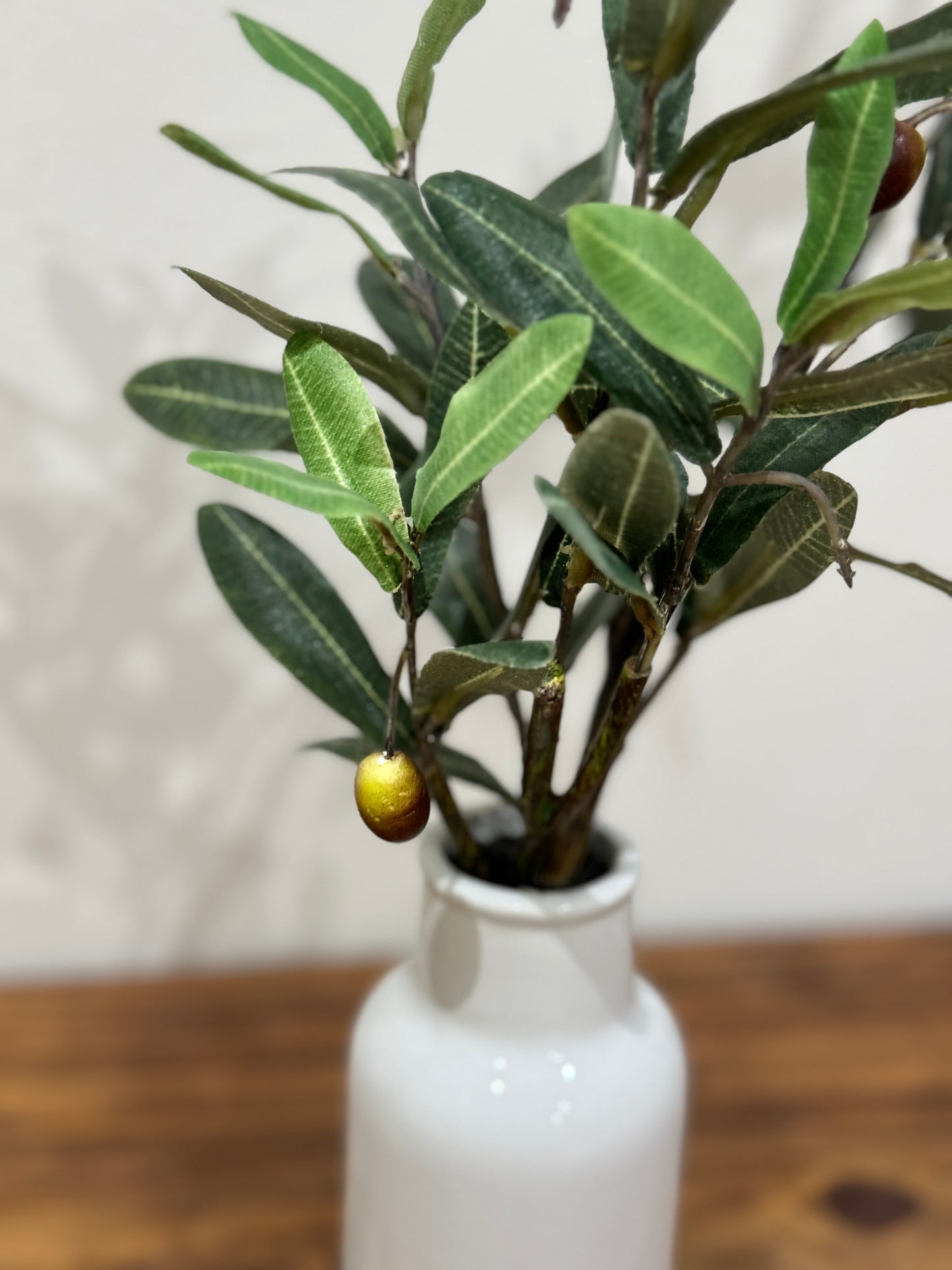 Planta Biham