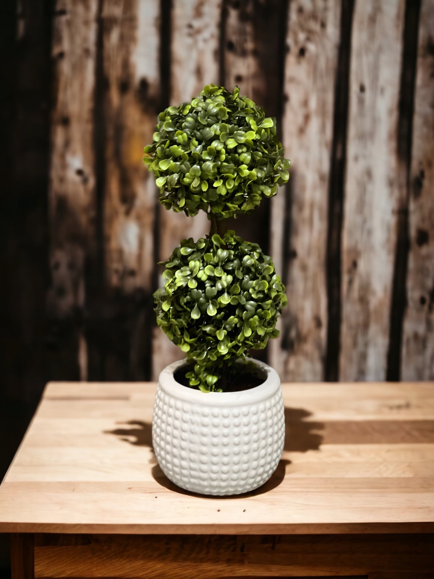 Planta Bosona