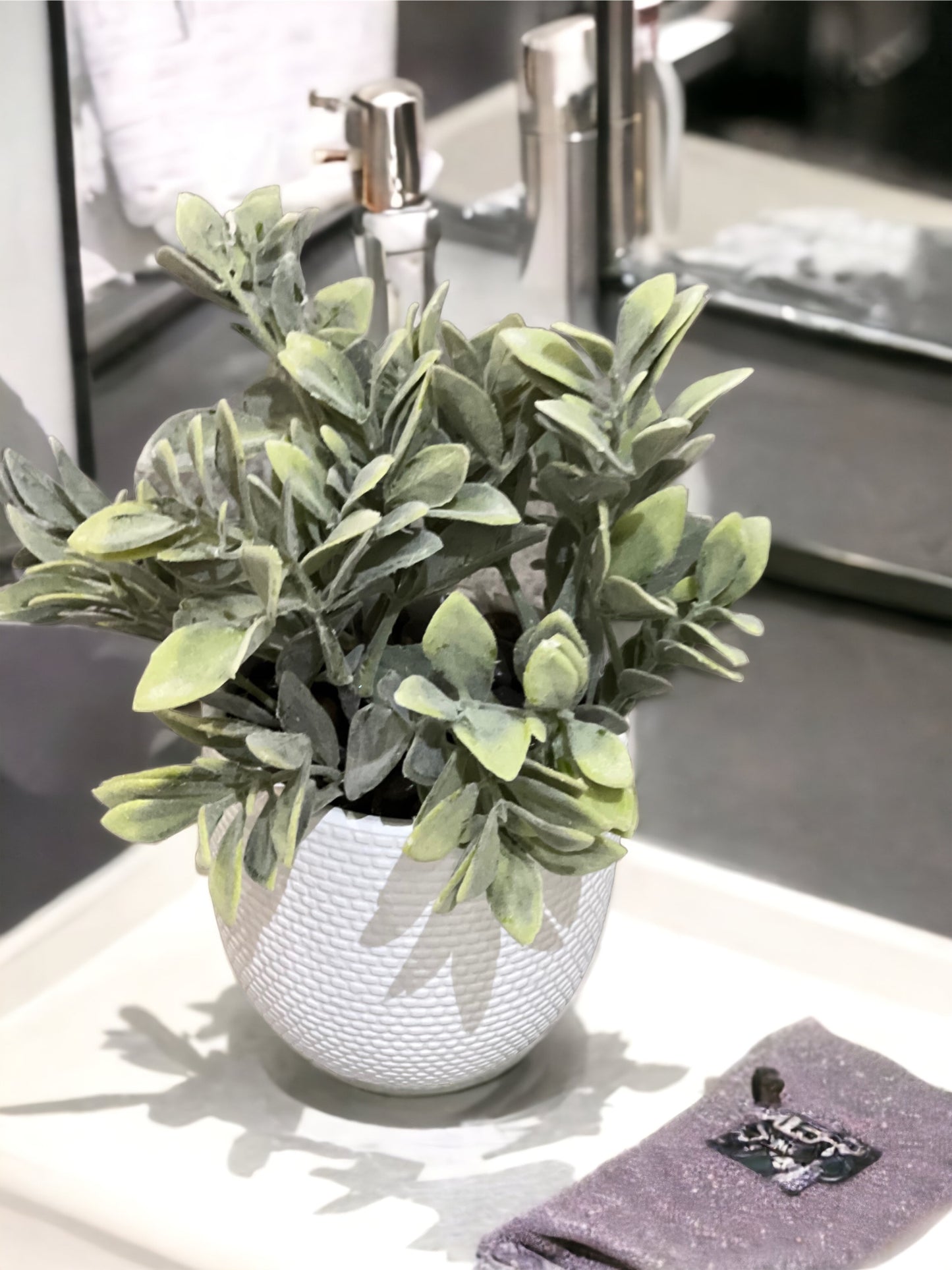 Planta Avior
