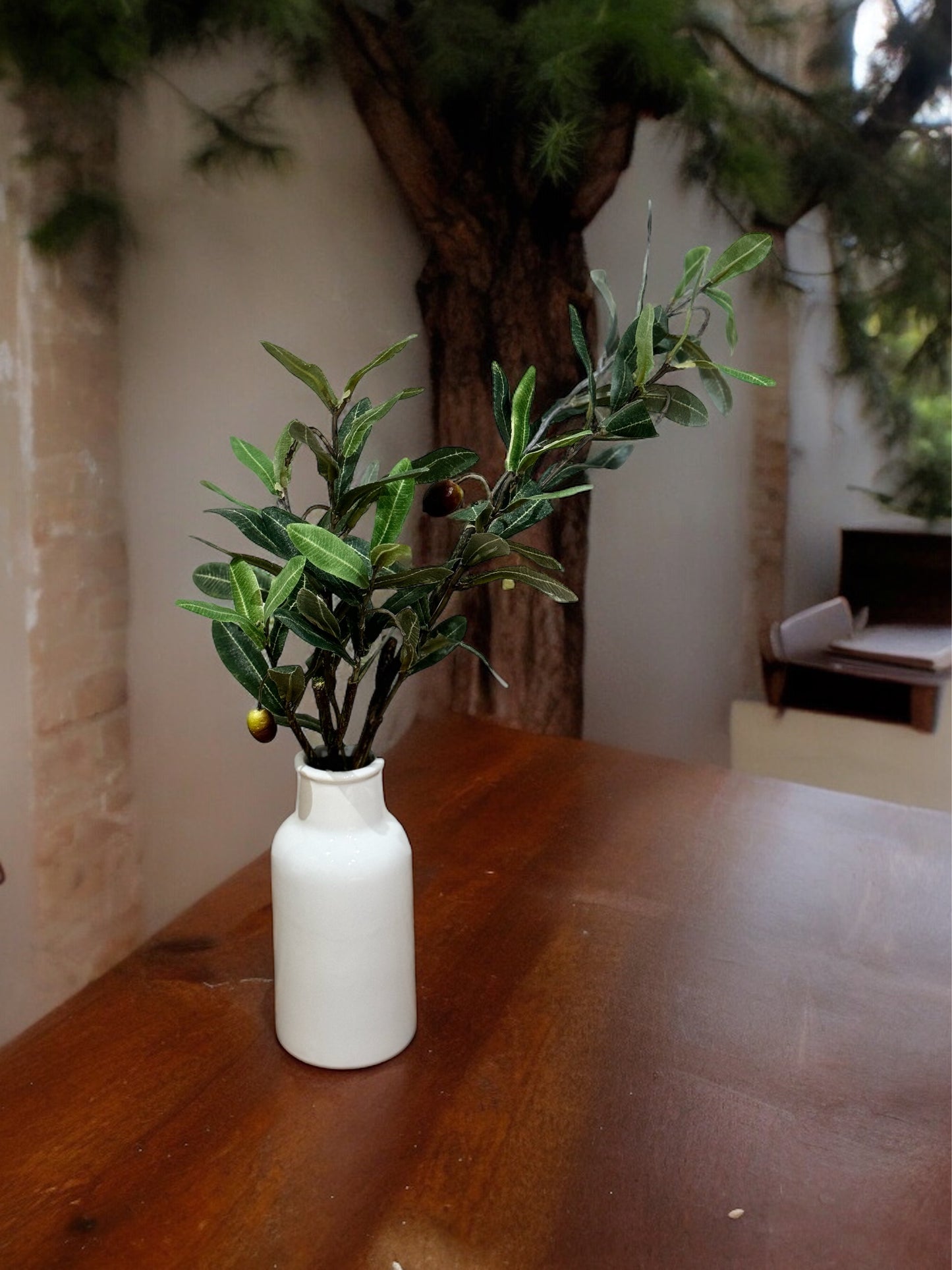 Planta Biham