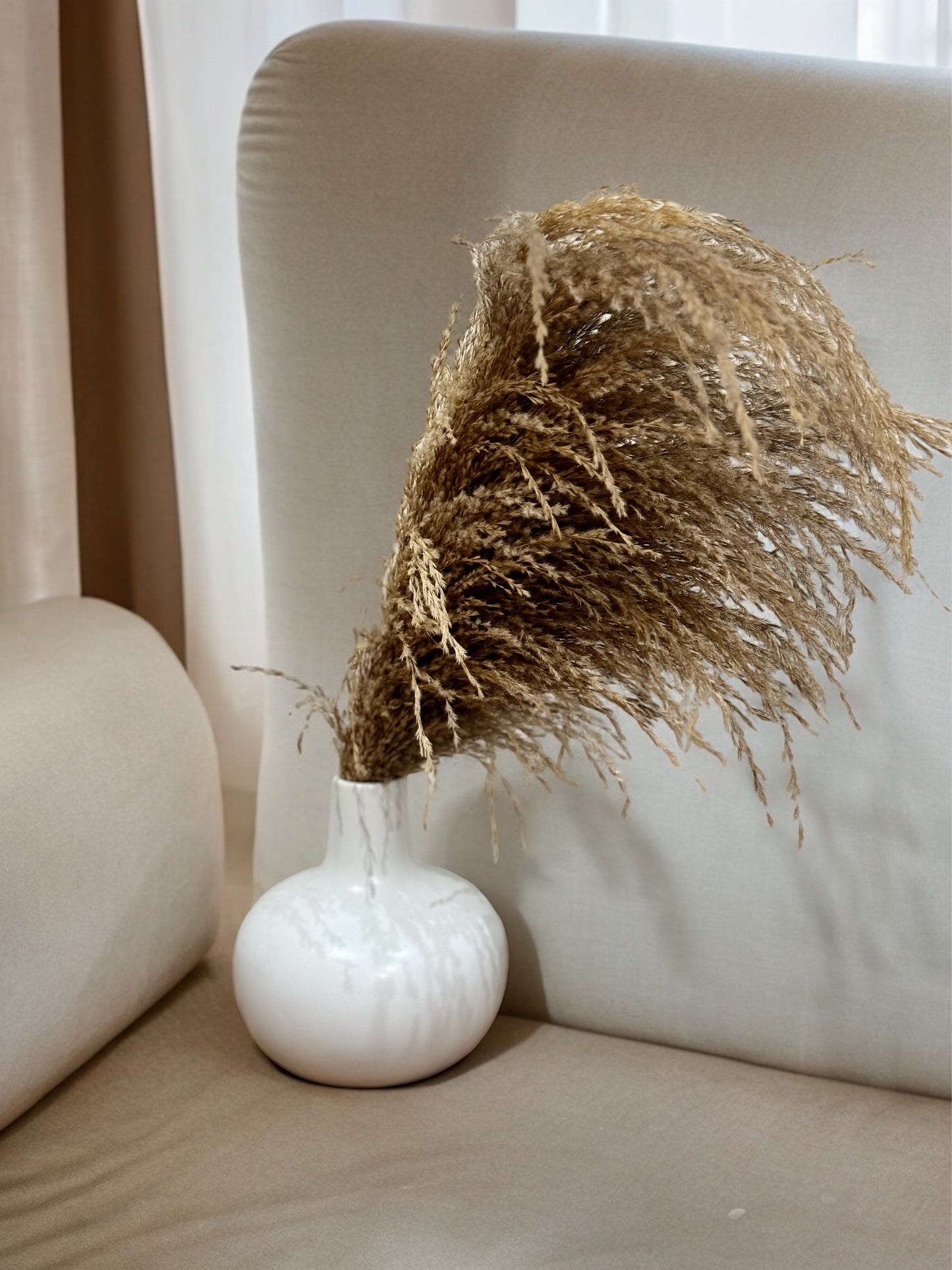 Pampas Beid