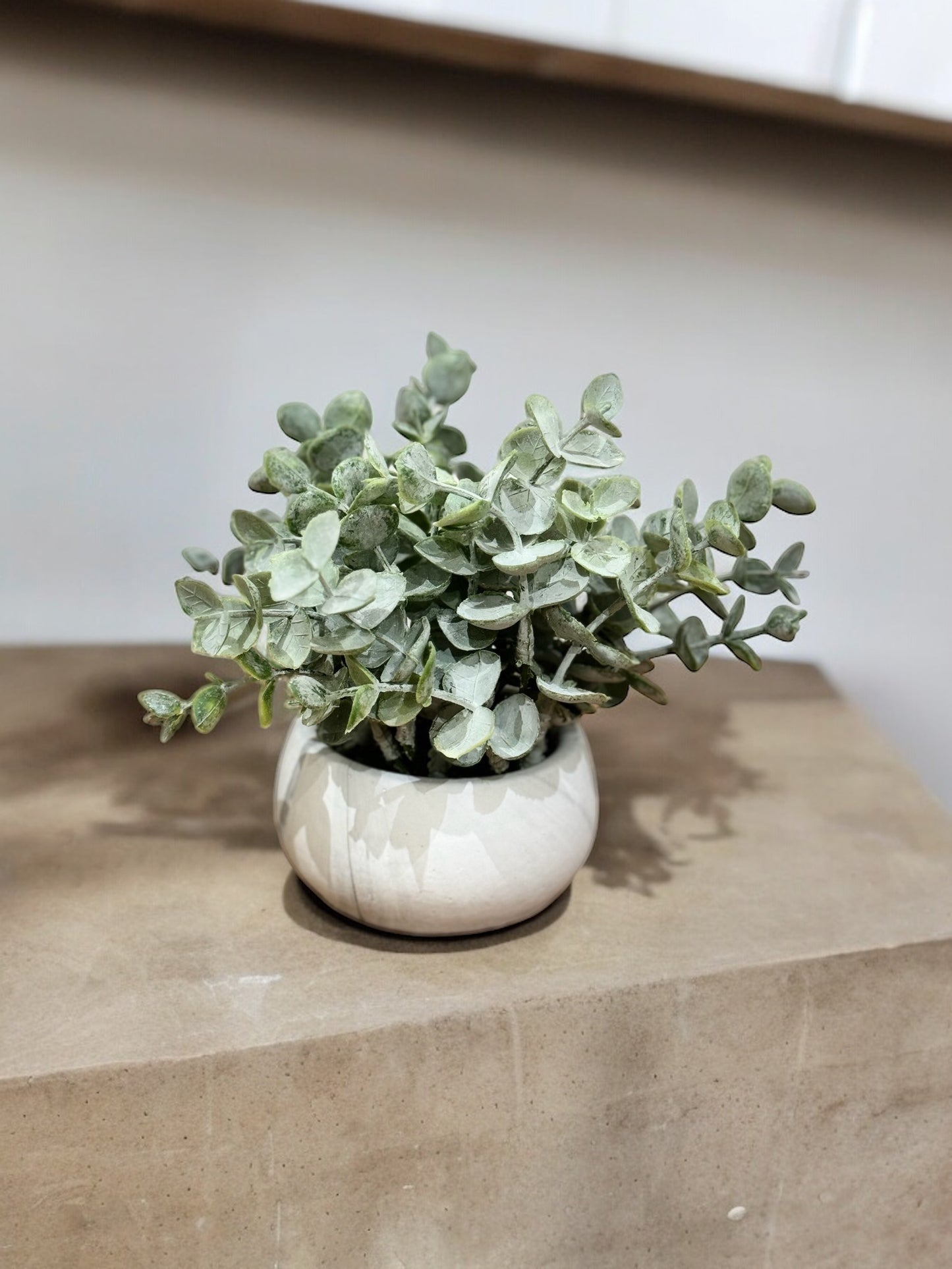 Planta Azha
