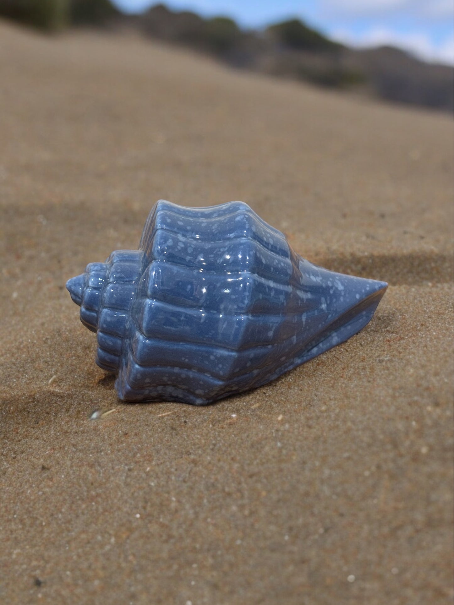 Caracol Kalino