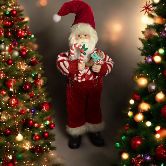 Santa Andy