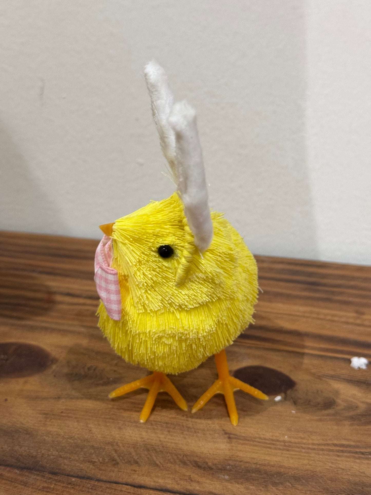Pollitas Chick