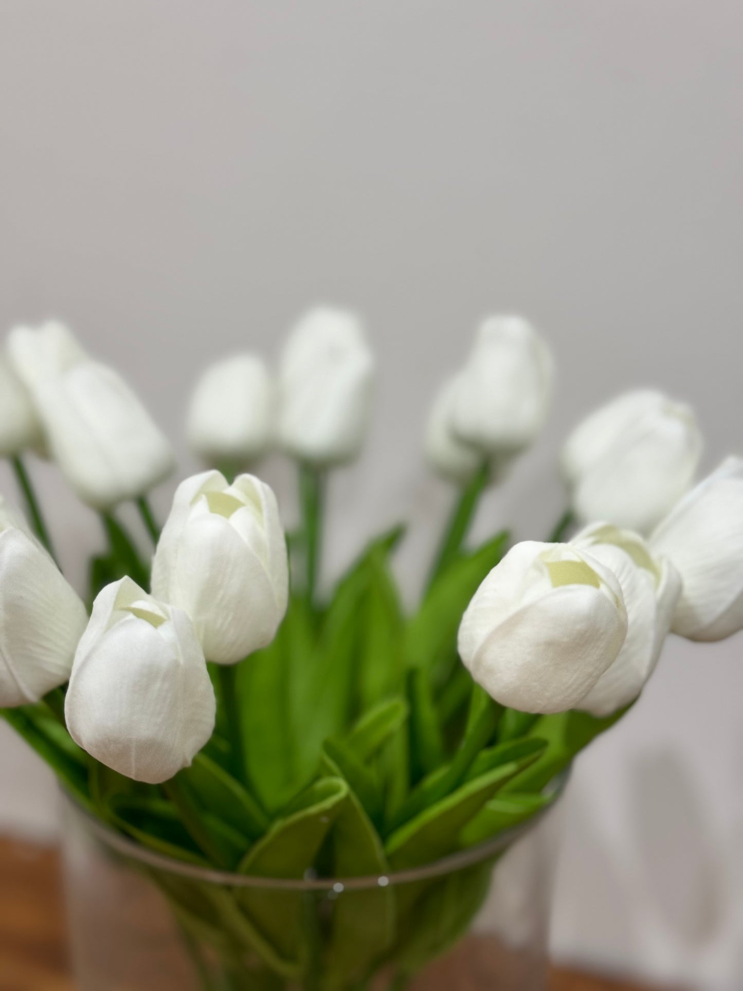 Tulipanes blancos