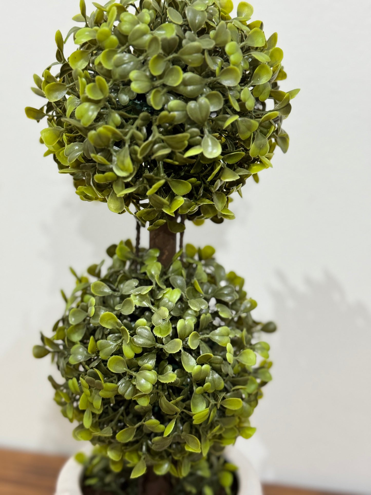 Planta Bosona