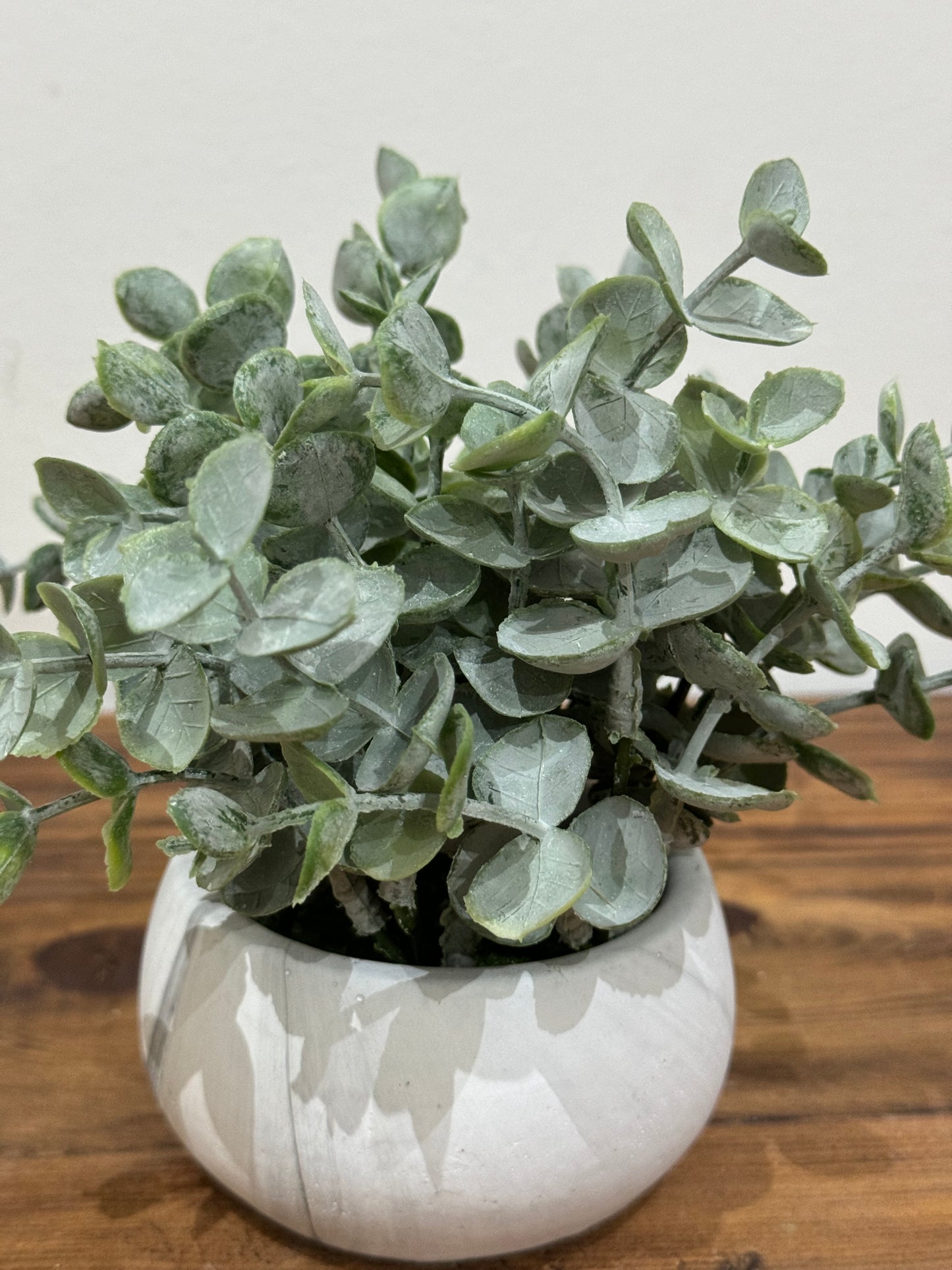 Planta Azha