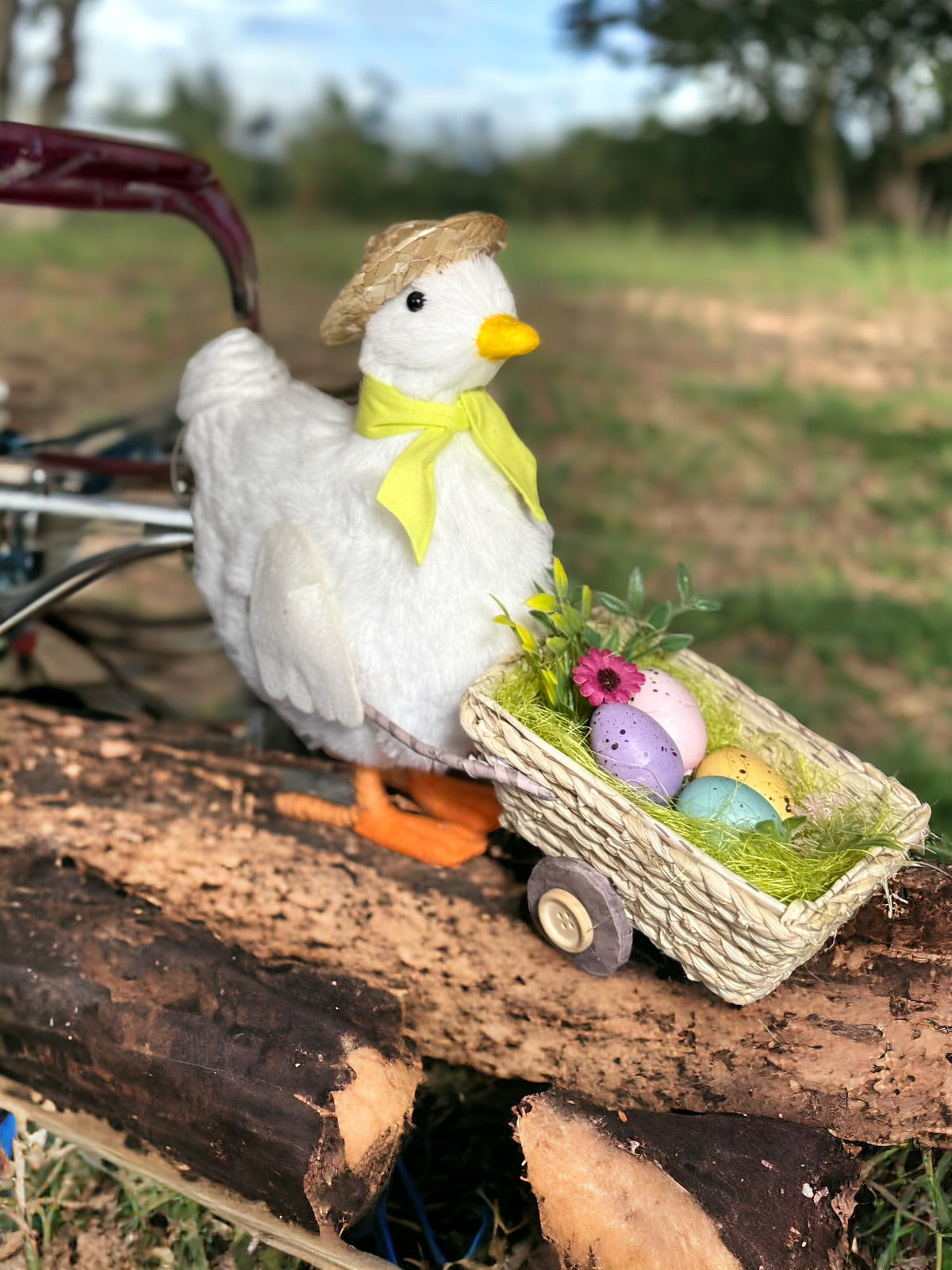 Gallina con carreta mediana