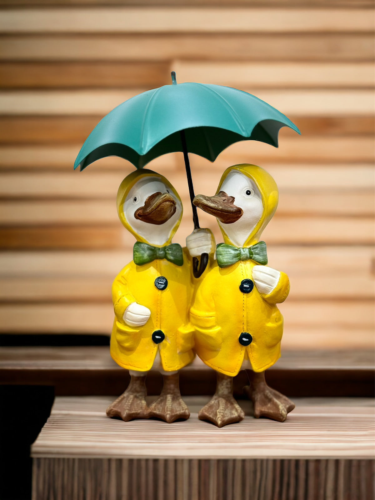 Patitos Hoggar